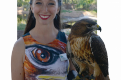 Samantha Amer and Horatio (The Red Tailed Hawk)