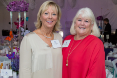 19th Annual Mending Broken Hearts with Hope Chairs Denise Wilburn, left, and Donna Issenmann.